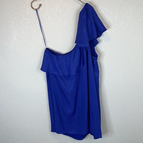 NWT Anthropologie Ruffled One-Shoulder Mini Dress Size 20W - Picture 6 of 12